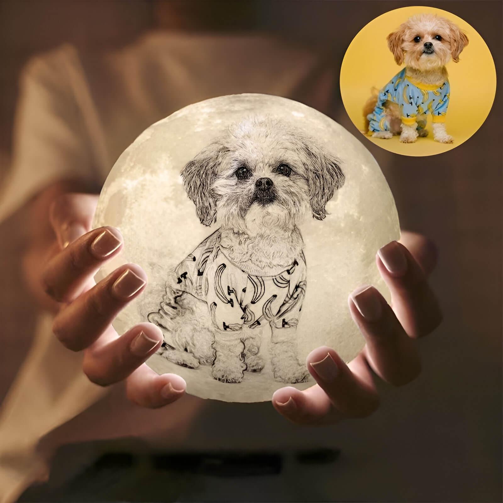 Lua Estelar Personalizável